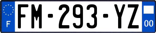 FM-293-YZ