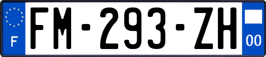 FM-293-ZH