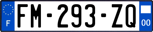 FM-293-ZQ
