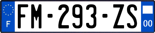 FM-293-ZS
