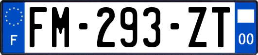 FM-293-ZT