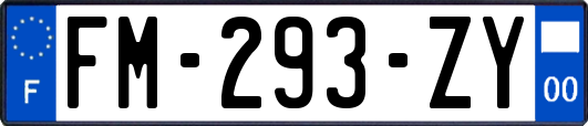 FM-293-ZY