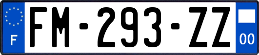 FM-293-ZZ