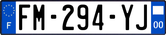 FM-294-YJ