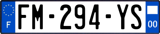 FM-294-YS