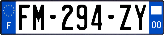 FM-294-ZY