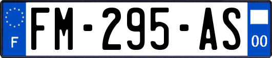FM-295-AS