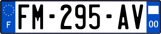 FM-295-AV