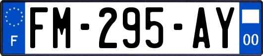 FM-295-AY