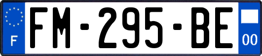 FM-295-BE