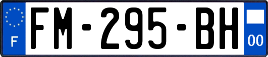 FM-295-BH