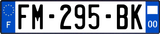 FM-295-BK