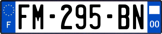 FM-295-BN