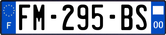 FM-295-BS