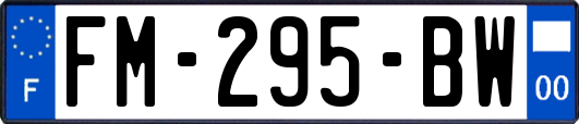 FM-295-BW