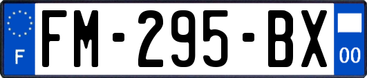 FM-295-BX