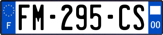 FM-295-CS