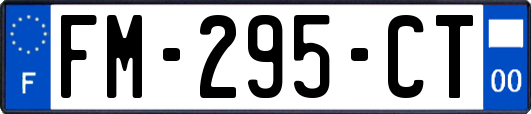 FM-295-CT