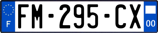 FM-295-CX