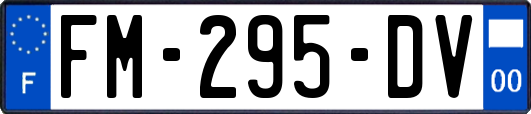 FM-295-DV