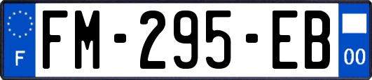 FM-295-EB