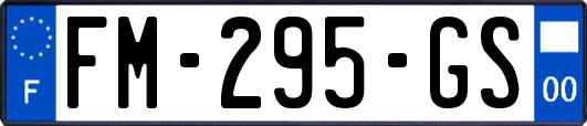 FM-295-GS