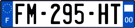 FM-295-HT
