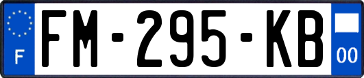 FM-295-KB