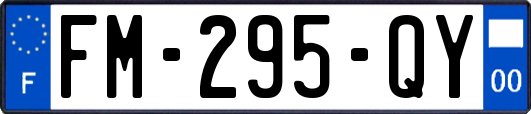 FM-295-QY