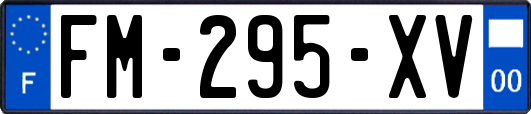 FM-295-XV