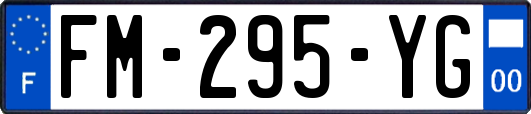 FM-295-YG