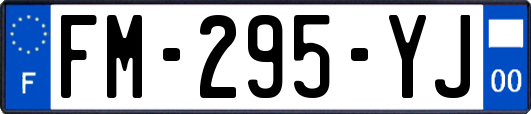 FM-295-YJ