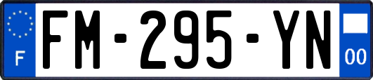 FM-295-YN