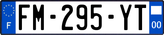 FM-295-YT