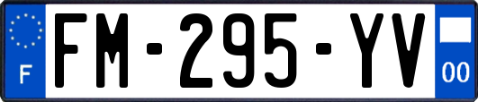 FM-295-YV