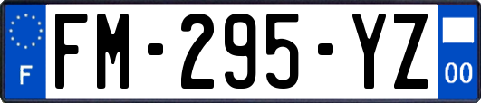 FM-295-YZ