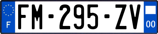 FM-295-ZV