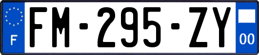 FM-295-ZY