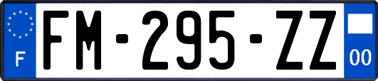 FM-295-ZZ