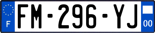 FM-296-YJ
