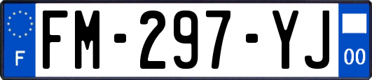 FM-297-YJ