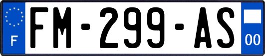 FM-299-AS