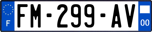 FM-299-AV