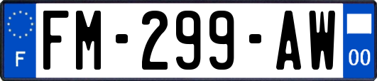 FM-299-AW