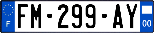 FM-299-AY