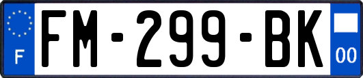 FM-299-BK
