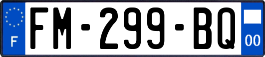 FM-299-BQ