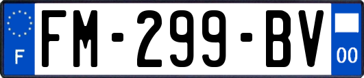 FM-299-BV