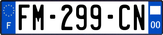 FM-299-CN