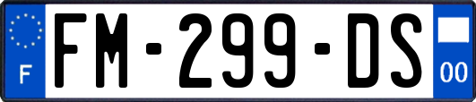 FM-299-DS